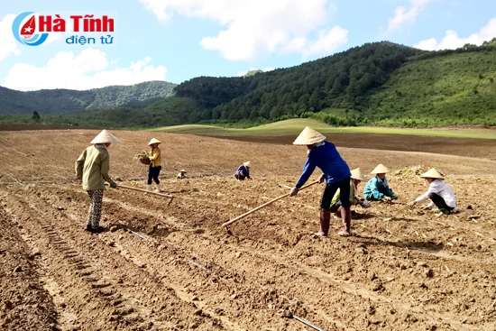 Bám sát nghị quyết, hành động chiến lược và phù hợp thực tiễn