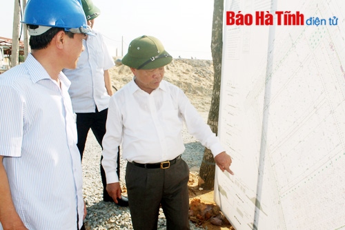 Thả 20 ngàn con cá mú giống đợt 1 tại các vùng triển khai dự án