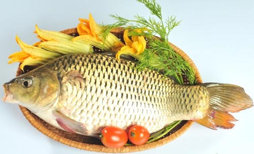 Thức ăn ngon, vị thuốc quý từ một số loại cá nước ngọt