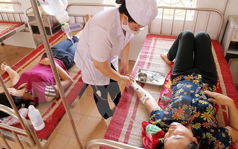 Ăn cóc nướng, 4 người bị ngộ độc, 1 người chết