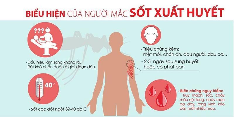 UBND tỉnh Hà Tĩnh chỉ đạo kịp thời phát hiện, xử lý triệt để các ổ dịch sốt xuất huyết