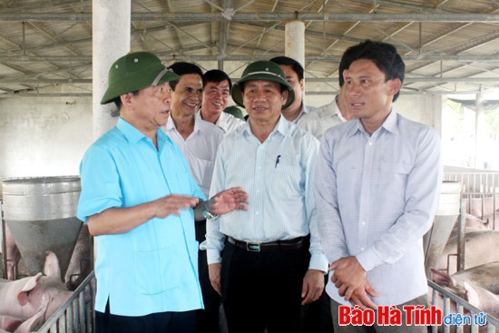 Tiếp tục huy động cả hệ thống chính trị vào cuộc xây dựng nông thôn mới