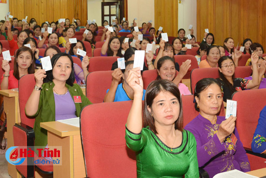 dai hoi dai bieu phu nu ha tinh lan thu xv thanh cong tot dep