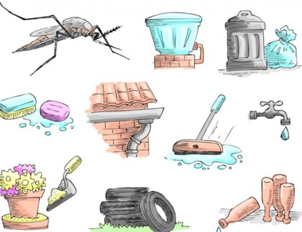 Để tránh bị sốt xuất huyết, nên rửa tay xà phòng, dọn quang môi trường, nước đọng không để muỗi làm tổ, đậy kín các tum nước không cho muỗi đẻ trứng