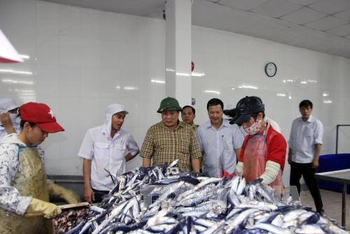 ho tro nguoi dan thiet hai do hai san chet bat thuong