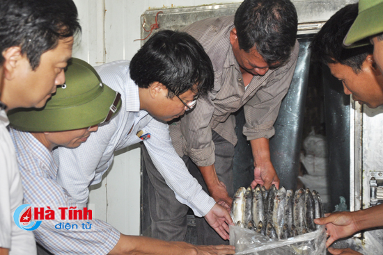 ha tinh thanh lap hoi dong danh gia thiet hai sau su co moi truong