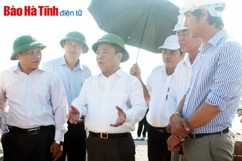 Thả 20 ngàn con cá mú giống đợt 1 tại các vùng triển khai dự án