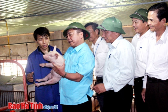 Tiếp tục huy động cả hệ thống chính trị vào cuộc xây dựng nông thôn mới