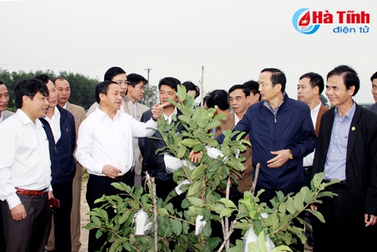Xây dựng nông thôn mới đi vào chiều sâu, thực chất