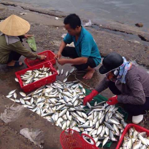 tin moi nhat ve ket qua kiem nghiem ca o mien trung