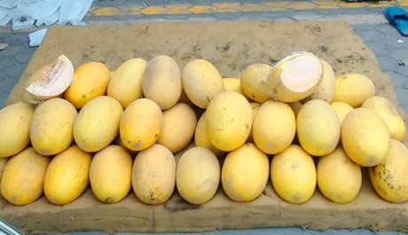 11 000 tan dua vang trung quoc dan viet trang mieng het veo