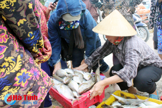 bien an toan ngu dan yen tam vuon khoi