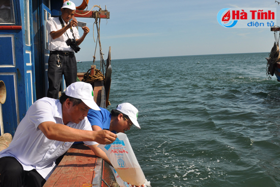 ha tinh hanh dong vi moi truong ra quan tinh nguyen he 2017