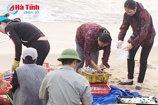cac mau hai san o ha tinh van an toan