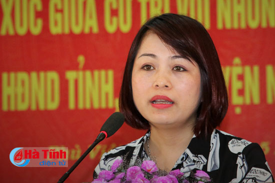 mong cu tri giam sat viec thuc hien vai tro cua dai bieu dan cu