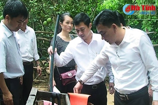 Tăng trách nhiệm người đứng đầu trong phòng chống sốt xuất huyết