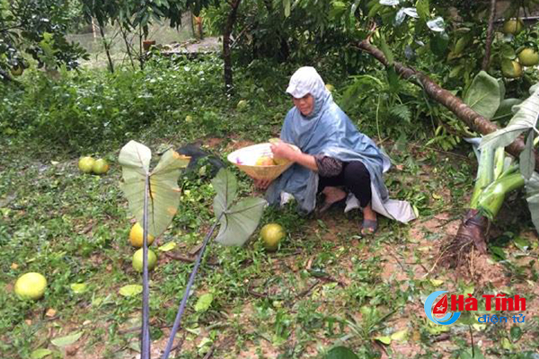 moi nhat sieu bao so 10 khien gan 70 000 nha dan ha tinh bi do toc mai