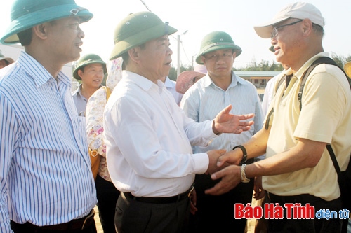 Thả 20 ngàn con cá mú giống đợt 1 tại các vùng triển khai dự án