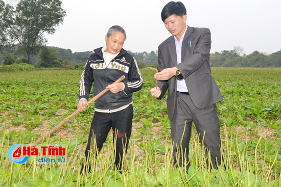 thuoc quy cham soc suc khoe nhan dan