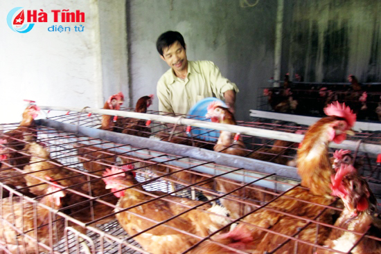ha tinh chi dao ngan ngua dich cum gia cam xam nhap vao dia ban