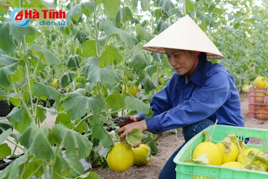 Bám sát nghị quyết, hành động chiến lược và phù hợp thực tiễn