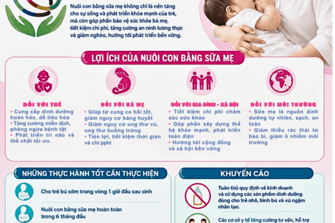 <a href="/tin-tuc-su-kien/pho-bien-kien-thuc" title="Phố biến kiến thức" rel="dofollow">PHỔ BIẾN KIẾN THỨC</a>