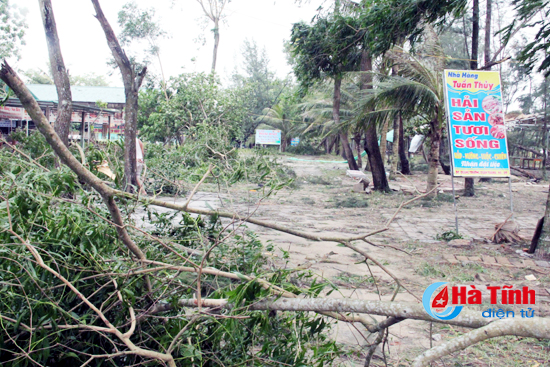 chu tich ubnd tinh kiem tra thiet hai chi dao khac phuc hau qua sau bao