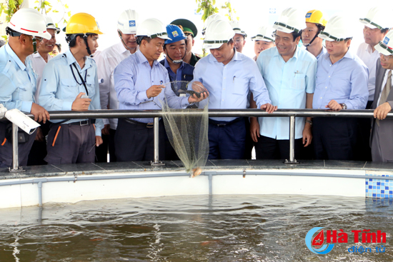thu tuong chinh phu kiem tra cong tac dam bao moi truong tai formosa